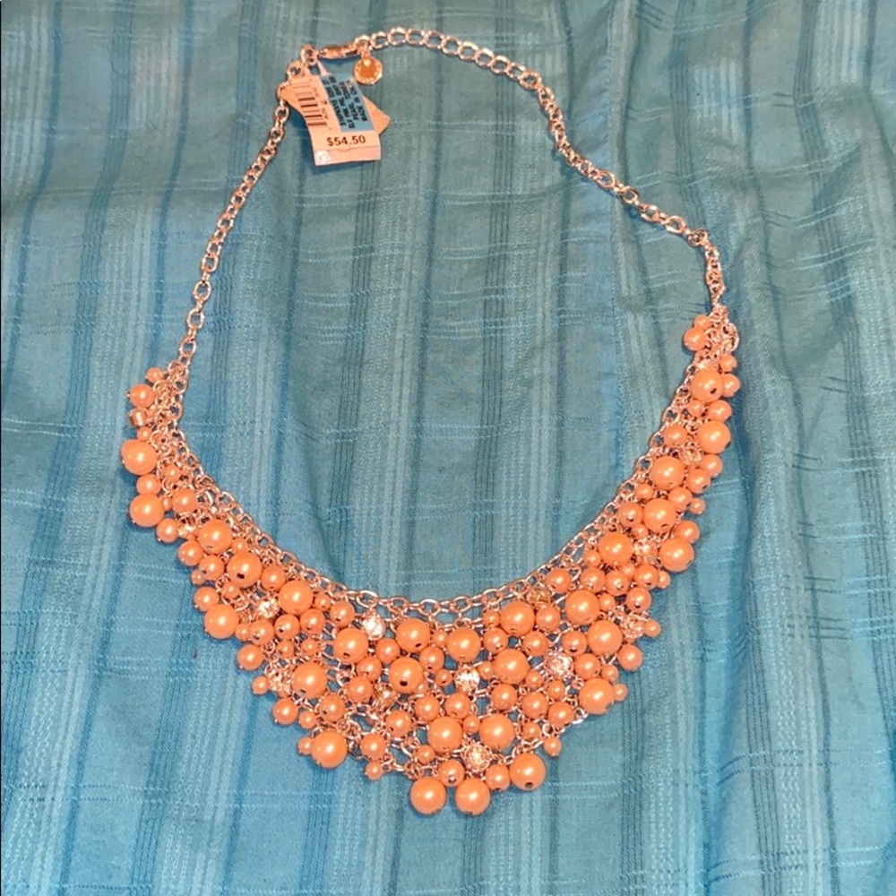 Gorgeous necklace, purchased from Dillard’s